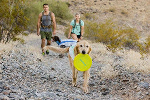 Ruffwear Camp Flyer Dog Toy - Lightweight, Flexible 'Frisbee'