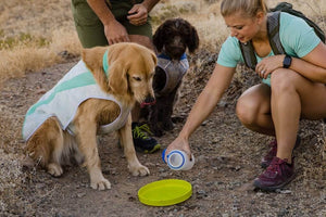 Ruffwear Camp Flyer Dog Toy - Lightweight, Flexible 'Frisbee'