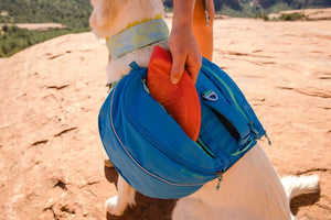 Ruffwear Camp Flyer Dog Toy - Lightweight, Flexible 'Frisbee'