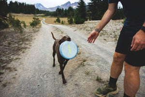 Dog carrying a Ruffwear Camp Flyer Dog Toy/frisbee on a dirt road with mountains in the background