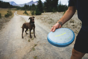 Person holding a Ruffwear Camp Flyer (Frisbee) with a dog on a dirt road in a natural setting about to play fetch