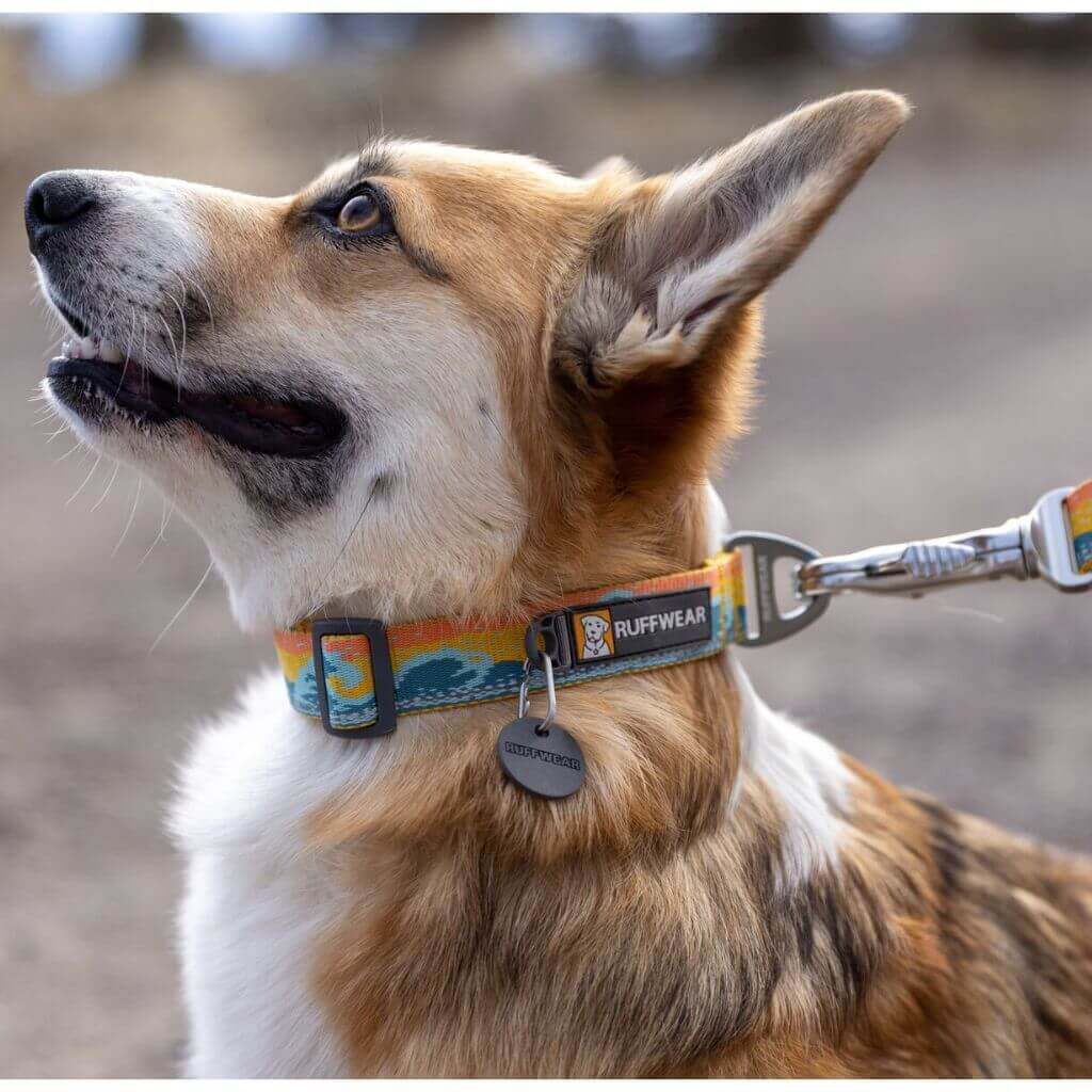 Ruffwear Crag Collar in Rising Wave pattern showing a close up of the clip