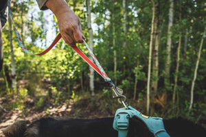 Ruffwear Crag Leash attached to a dog harness.  This is a close up of the short 'traffic' control handle on the harness.

