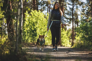 Ruffwear Crag Leash & Collar in Tropical Bloom on a dog walking with human wearing leash around her waist