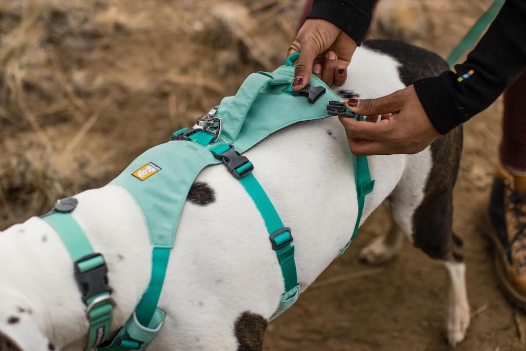 Ruffwear Flagline Dog Harness in Close up of back clips