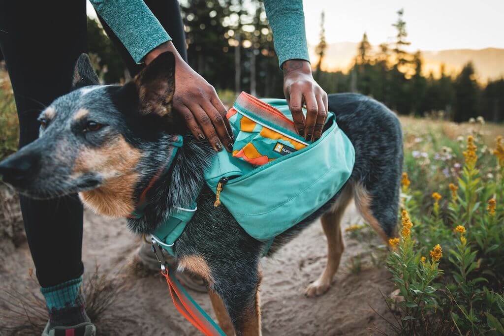 Dog Backpack Ruffwear Front Range Day Pack Dog Saddle Bag Backpack