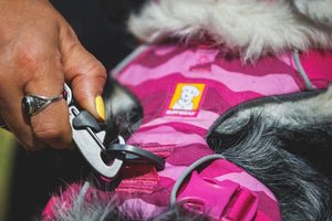 Ruffwear Front Range Leash in Pink Rose Close-up of the clip of the leash