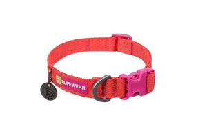 Ruffwear Front Range Flex Dog Collar in Rose Violet