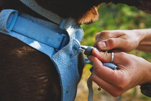 NEW! Front Range Flex Harness -  Comfortable, Flexible, Engineered Knit Dog Harness