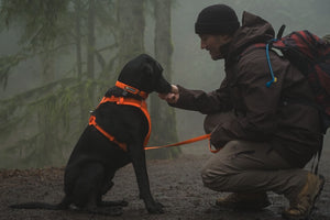 Front Range Dog Collar - Soft, Durable