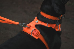 NEW Colours! Front Range Leash - Classic, Strong Dog Lead