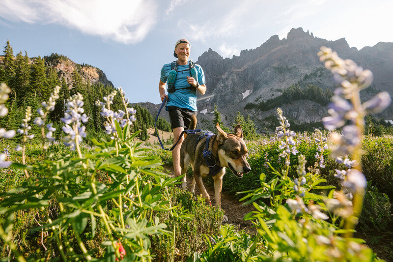 Ruffwear Front Range Harness in Blue - dog and man walking in mountains