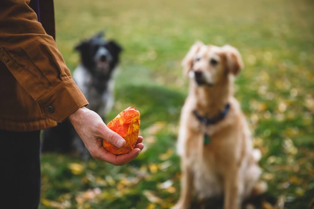 Ruffwear Gnawt-a-Cone Dog Toy in a man's hand showing the size