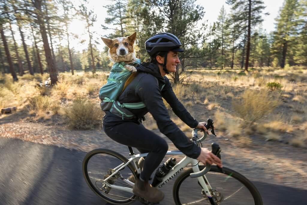 Small dog in a Ruffwear Hitch Hiker Backpack on owners back while cycling