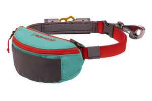 Hitch Hiker Leash - Portable Hitch & Leash Combo