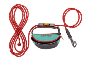 Hitch Hiker Leash - Portable Hitch & Leash Combo