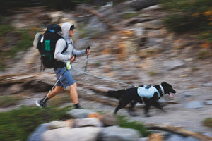 New Colours! Hitch Hiker Leash - Portable Hitch & Leash Combo