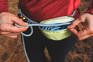 New Colours! Hitch Hiker Leash - Portable Hitch & Leash Combo
