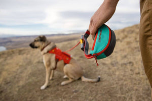 Hitch Hiker Leash - Portable Hitch & Leash Combo