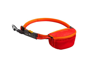 New Colours! Hitch Hiker Leash - Portable Hitch & Leash Combo