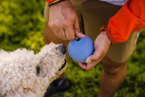 Ruffwear Huckama showing how you can fill it with treats