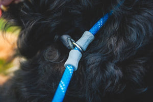 Ruffwear Just-a-Cinch in Blue Pool showing cinch stoppers