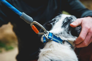 NEW DESIGN! Ruffwear Knot-a-Leash Rope Dog Lead - Reflective with Locking Carabiner