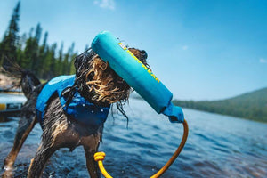 Lunker - Floating Fetch Dog Toy