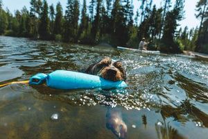 Lunker - Floating Fetch Dog Toy