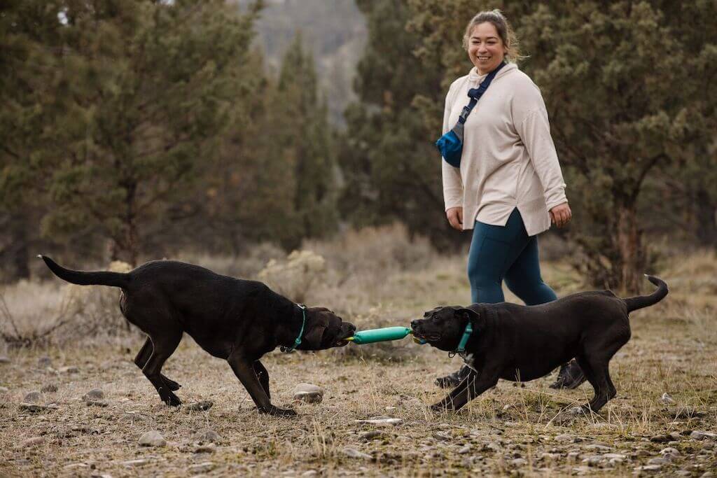 Ruffwear Pacific Loop Toy two dogs playing tug-o-war