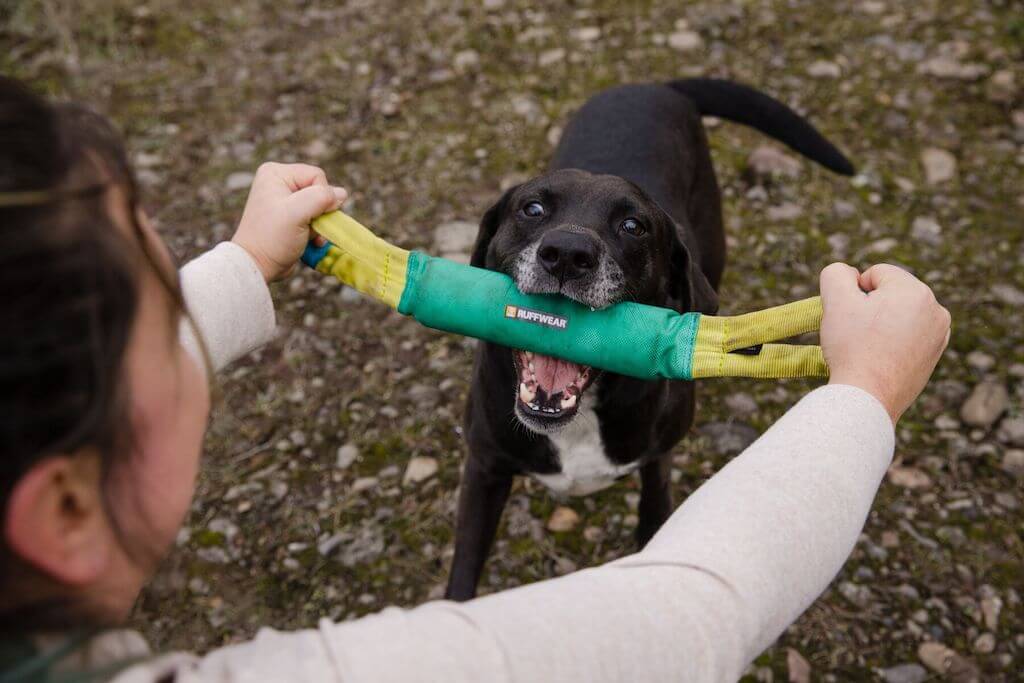 Ruffwear Pacific Loop Toy LIfestyle Close-up in a dog's mouth