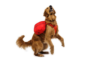 NEW DESIGN! Palisades Pack - Premium Dog Backpack for Multi-Day & Backcountry Trips