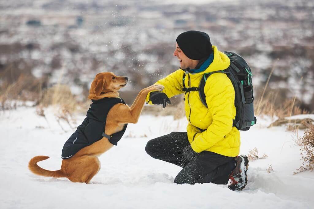 Ruffwear Quinzee Dog Coat in Obsidian Black on a dog in the snow