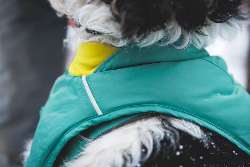 Ruffwear Quinzee Dog Coat in River Rock Green close up of neck gusset