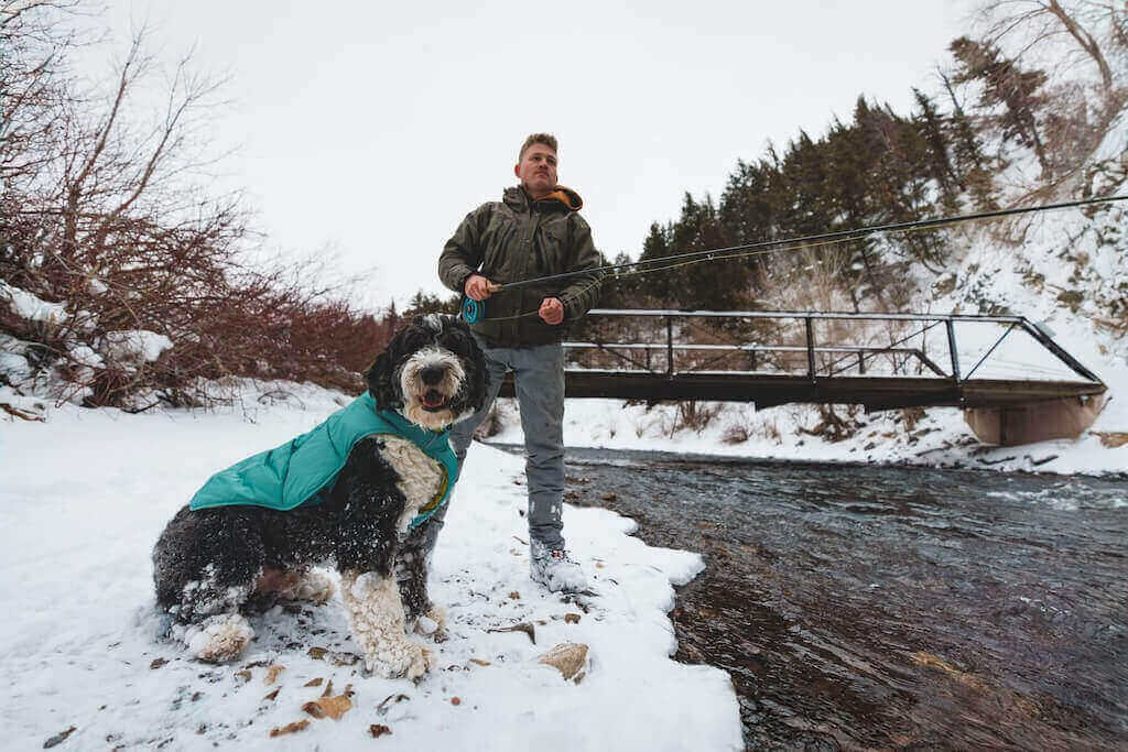 Quinzee in River Rock Green on a dog in the snow fly fishing with dad