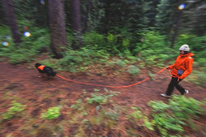 Ruffwear Rogue Long Line dog leash attached to a dog who is walking well ahead of their owner