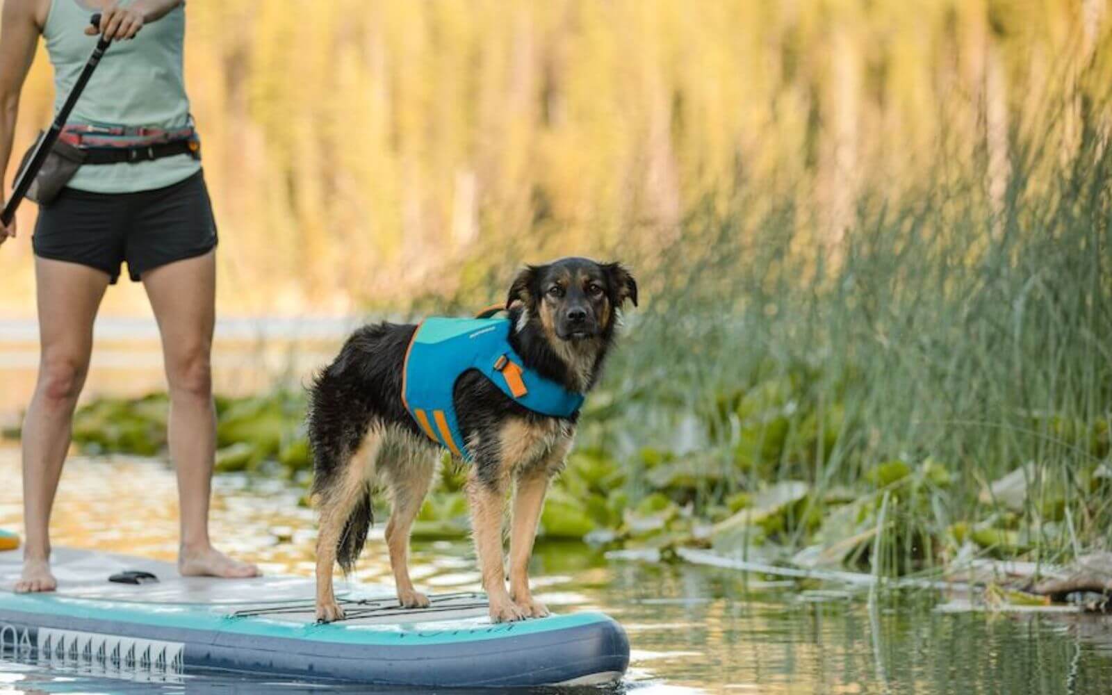 Ruffwear-Float-Coat-Lifestyle-Photo-of-a-Dog-on-a-paddleboard.jpg