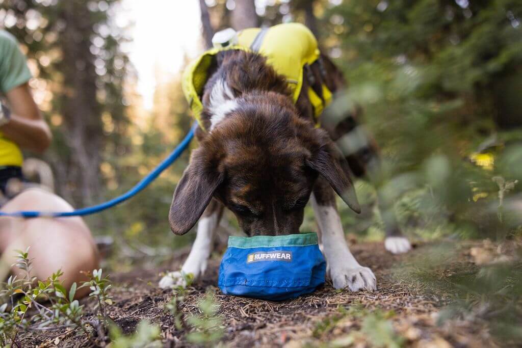 Ruffwear Trail Runner Travel Bowl Showing A Dog Drinking from it
