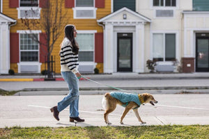 Ruffwear Stumptown Dog Jacket in River Rock Green on a Dog Walking