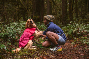 CLEARANCE! Sun Shower Dog Raincoat - End of the Line Colours XXS & Large only