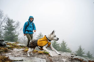 NEW COLOURS! Sun Shower Dog Raincoat - Waterproof, Windproof