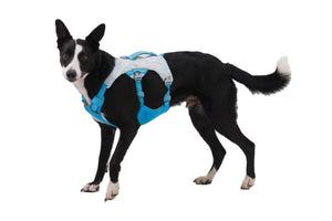 NEW COLOURS! Swamp Cooler Harness - Cooling Dog Harness