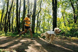 NEW COLOURS! Ruffwear Swamp Cooler - Cooling Dog Vest