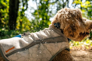 NEW COLOURS! Ruffwear Swamp Cooler - Cooling Dog Vest