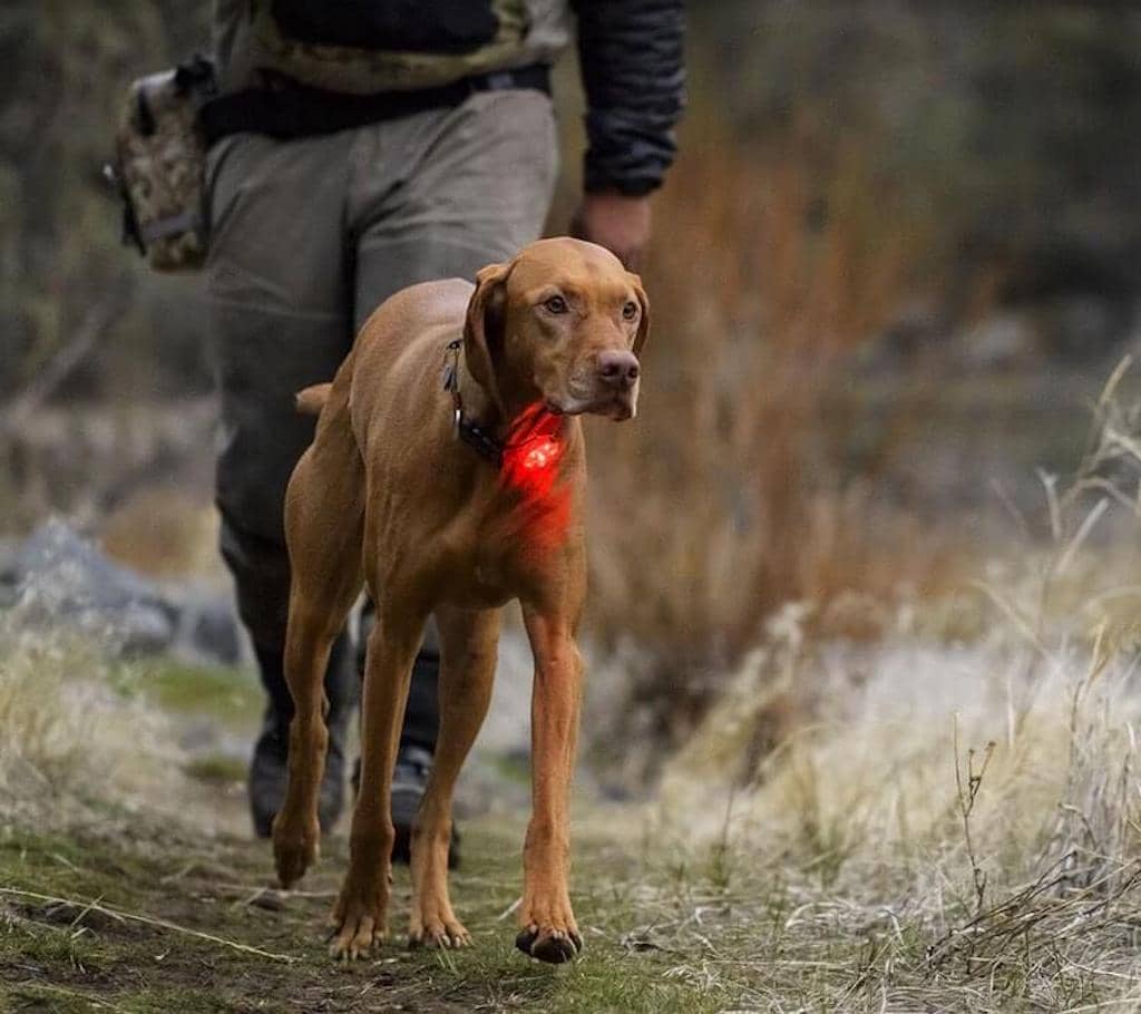 Ruffwear The Beacon - Safety Light