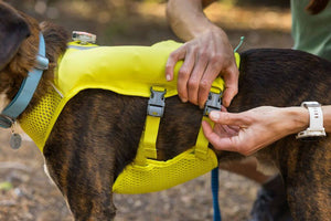 SALE! Trail Runner Running Dog Vest - Streamlined with Hydration Bladders