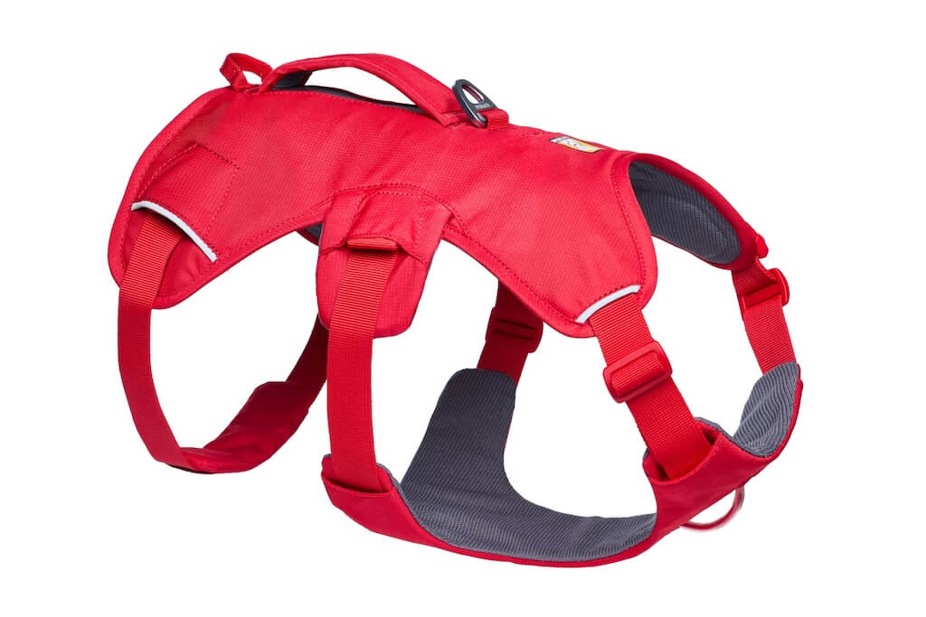 A red Ruffwear Web Master Dog Harness with a secure back lifting handle, chest protection, and multiple leash attachment points.