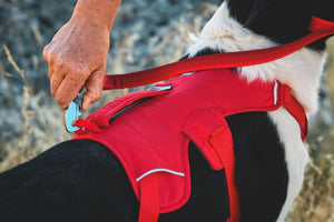 NEW DESIGN! Ruffwear Web Master Dog Harness (2025) - Secure, Back Handle