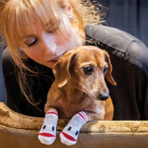 Xxs dog discount socks