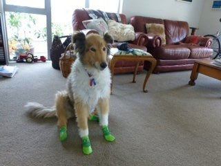 Sporty Pawks Anti Slip Waterproof Dog Socks Australia Dispatch